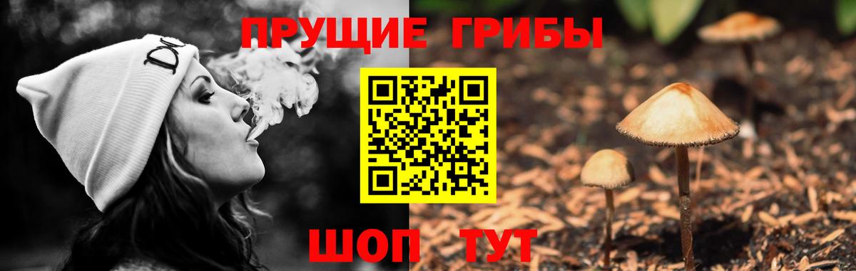 Югорск  Псилоцибиновые грибы Cubensis  Вход с VPN 